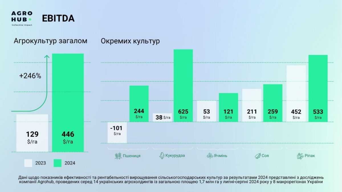 Agrohub підбив підсумки продажів врожаю 2024, загальний EBITDA зріс в 3,5 рази