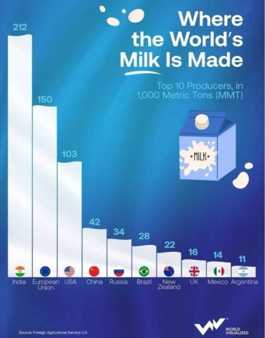 ТОП-10 виробників молока 2025: одна країна випередила ЄС і США