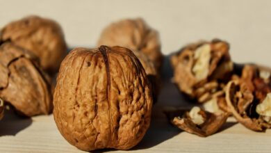 walnuts, shell, nut, brown, snack, delicious, healthy, walnut shells, food, close up, walnuts, walnuts, walnuts, walnuts, walnuts, nut, nut
