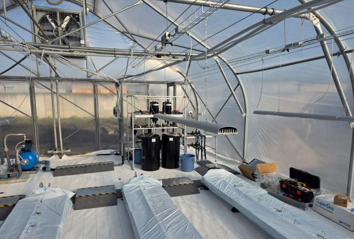 В Україні відкрили першу високотехнологічну теплицю для вирощування овочів та японської дині (фото)