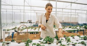 Smiling woman tending plants in a high-tech greenhouse, showcasing sustainable agriculture.