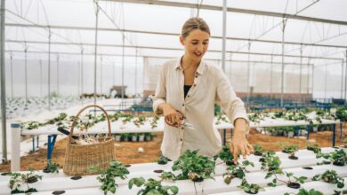 Smiling woman tending plants in a high-tech greenhouse, showcasing sustainable agriculture.
