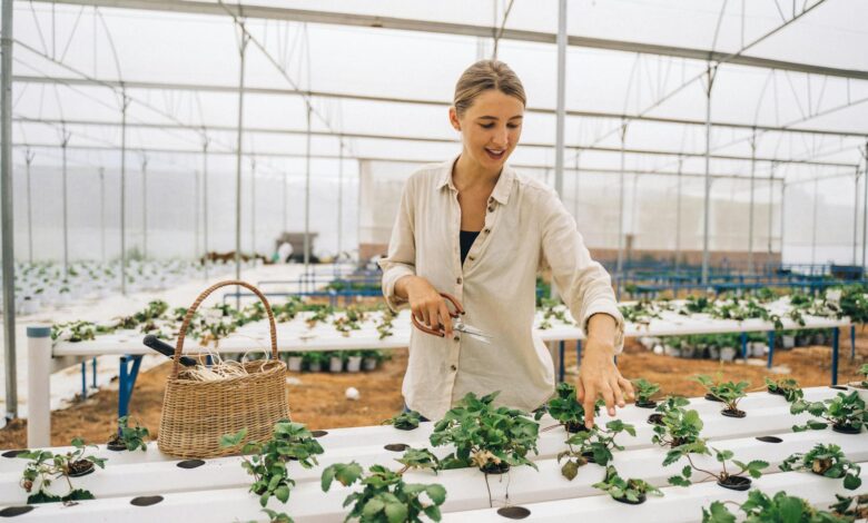 Smiling woman tending plants in a high-tech greenhouse, showcasing sustainable agriculture.
