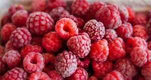 raspberries, red, berry, cute, fruit, nature, yummy, healthy, ripe, wild raspberry, vitamins, harvest, raspberries, raspberries, raspberries, raspberries, raspberries