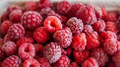 raspberries, red, berry, cute, fruit, nature, yummy, healthy, ripe, wild raspberry, vitamins, harvest, raspberries, raspberries, raspberries, raspberries, raspberries