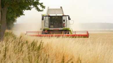 combine harvester, agriculture, harvest, grain, panasonic, lumix, wetterau, hesse, germany, claas