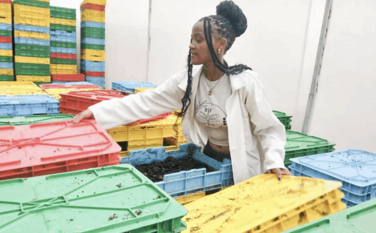 Забудьте про сою: науковці знайшли нове і дешеве джерело білка для тварин