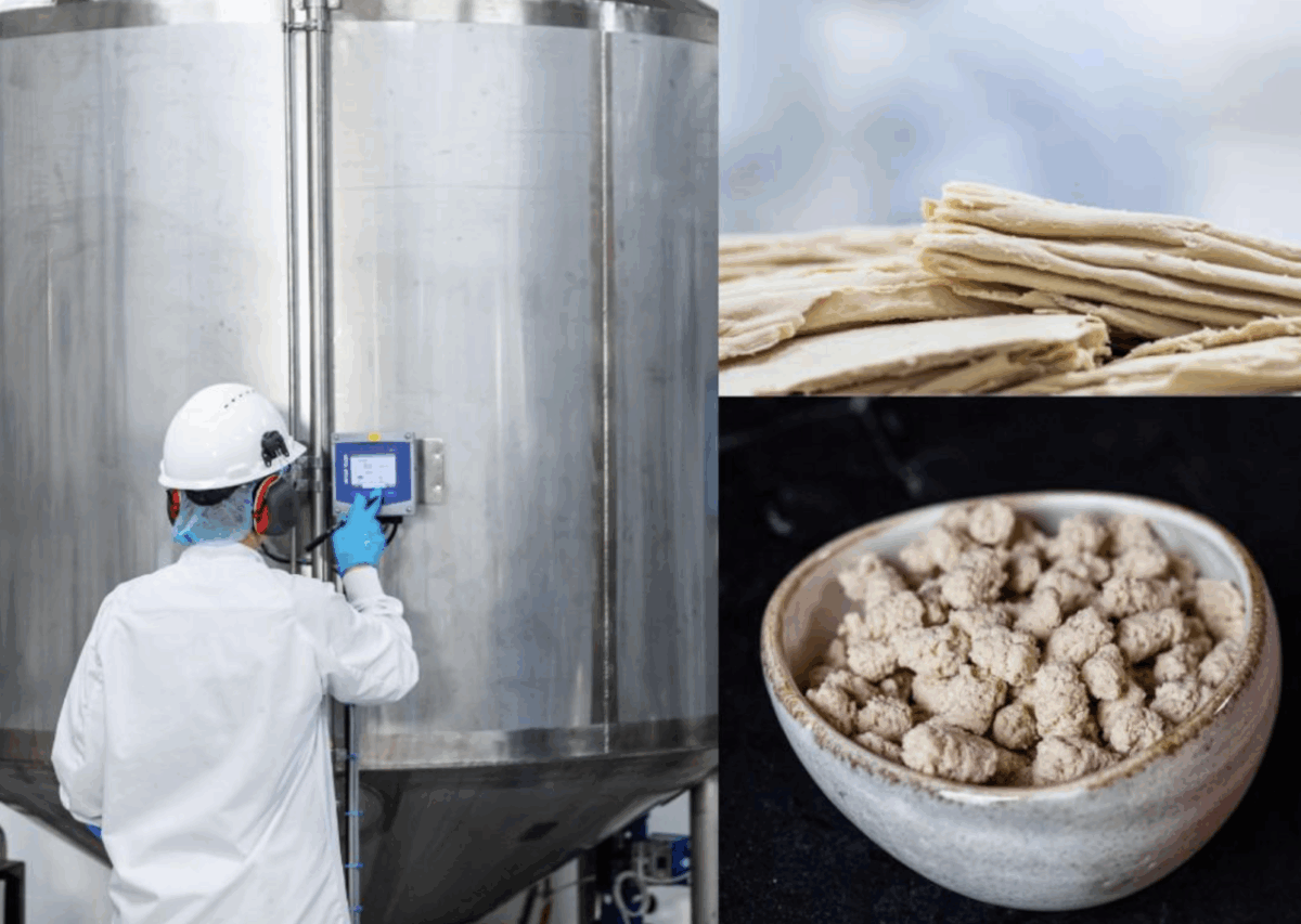 ЄС робить ставку на додану вартість. Як нова директива про відходи трансформує агросектор у 2025