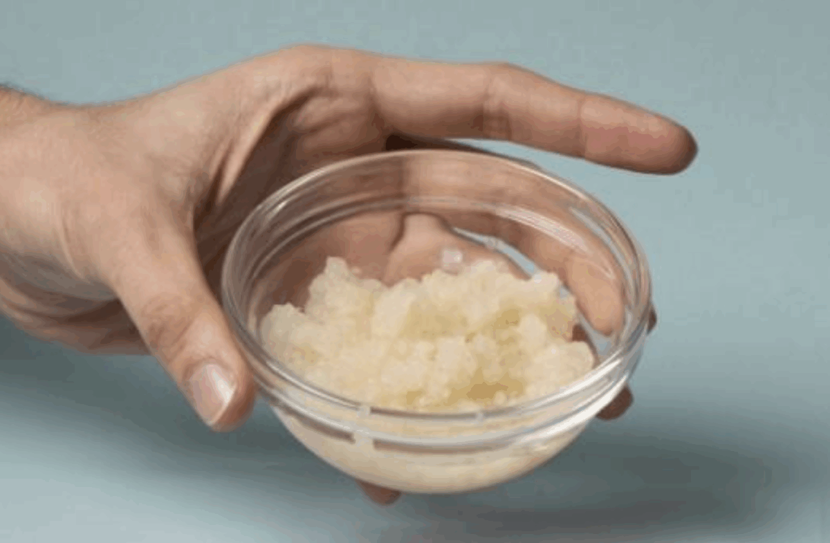 ЄС робить ставку на додану вартість. Як нова директива про відходи трансформує агросектор у 2025