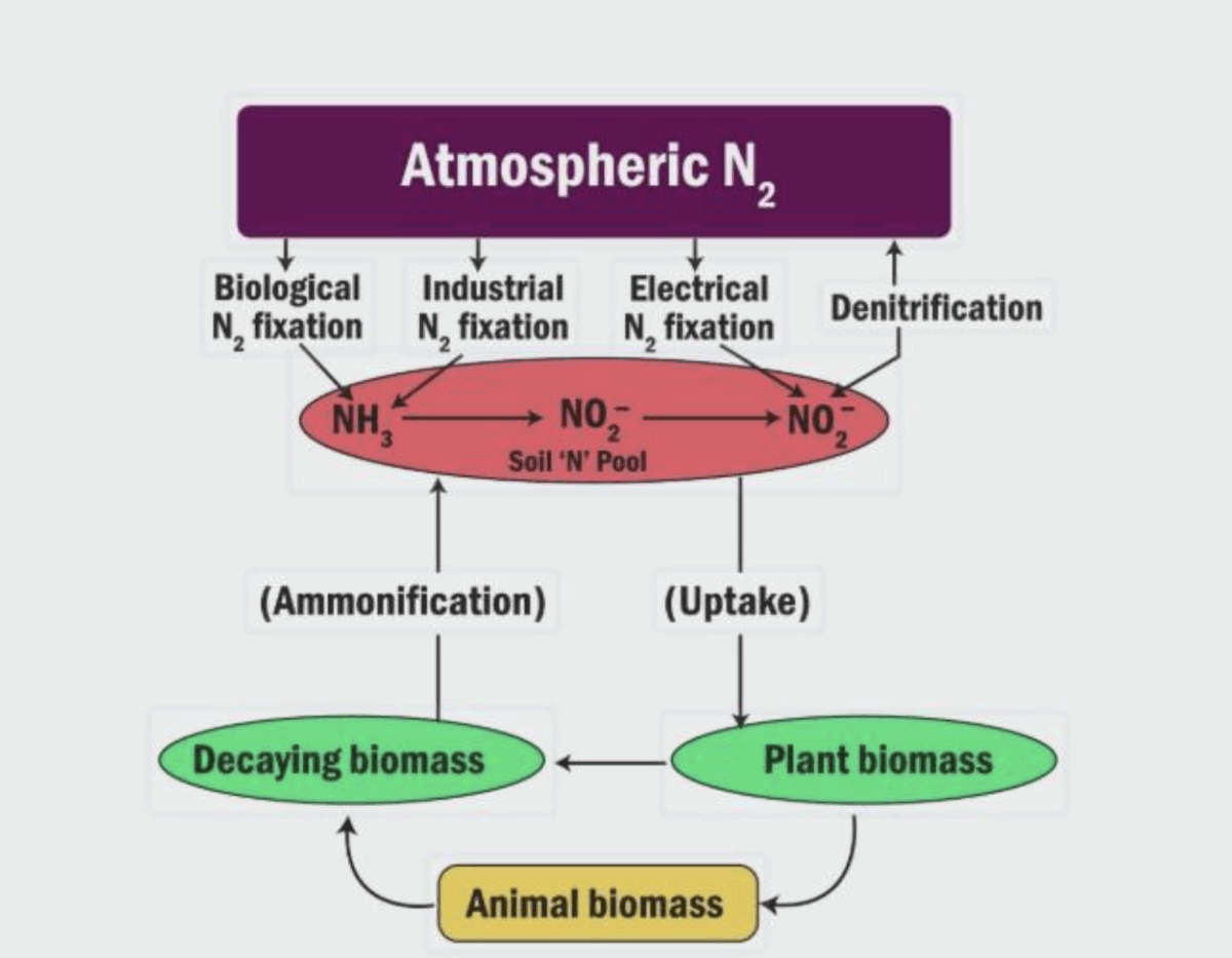 Скорочення добрив через війну: ґрунти України виснажуються до критичного рівня