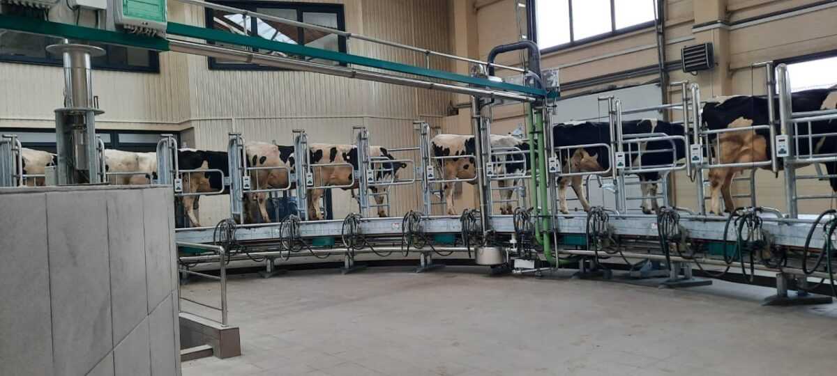 «Ми будуємо бізнес так, щоб він працював незалежно від обставин» - Юрій Ткаченко