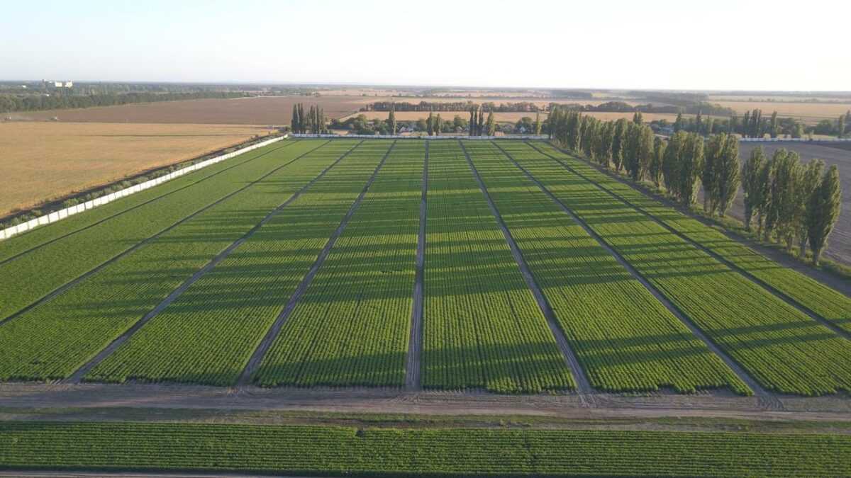 «Ми будуємо бізнес так, щоб він працював незалежно від обставин» - Юрій Ткаченко