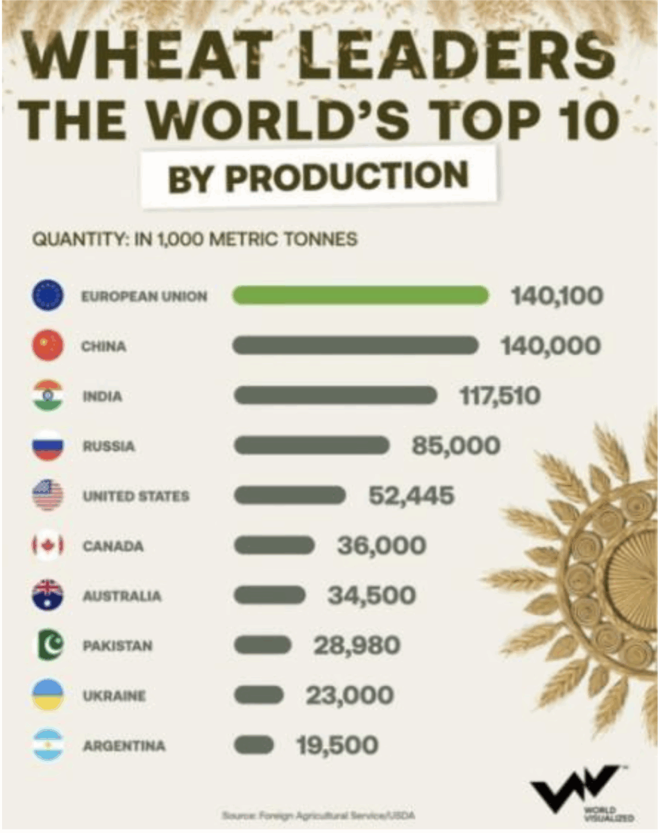 Глобальна продовольча безпека: хто контролює світовий ринок пшениці у 2025 році