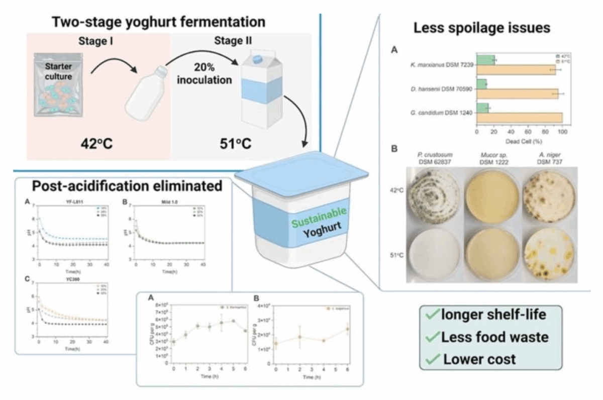 Датські науковці змогли здешевити йогурт у 5 разів та продовжити його термін придатності