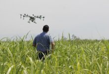 drone, precision agriculture, crops, spray, fumigation, aimagro, drone, precision agriculture, precision agriculture, precision agriculture, precision agriculture, precision agriculture