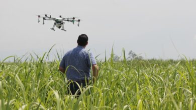 drone, precision agriculture, crops, spray, fumigation, aimagro, drone, precision agriculture, precision agriculture, precision agriculture, precision agriculture, precision agriculture