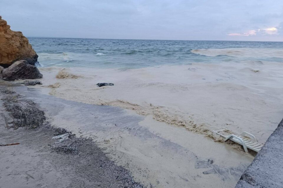 В акваторії порту "Південний" стався витік рослинної олії (фото)