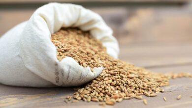 cereal grains, sack, harvest, produce, grains, seeds, organic, food, burlap sack, sack, sack, sack, sack, sack, burlap sack