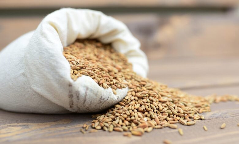 cereal grains, sack, harvest, produce, grains, seeds, organic, food, burlap sack, sack, sack, sack, sack, sack, burlap sack