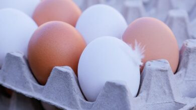 eggs, chicken eggs, chicken product, food, eggs, eggs, eggs, chicken eggs, chicken eggs, chicken eggs, chicken eggs, chicken eggs