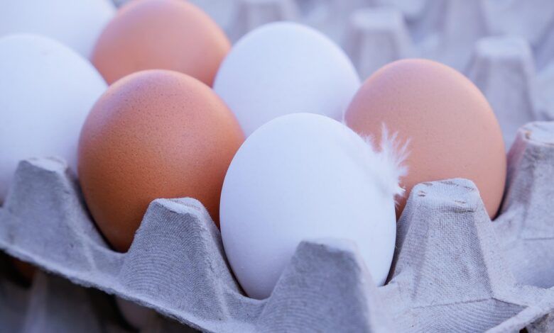 eggs, chicken eggs, chicken product, food, eggs, eggs, eggs, chicken eggs, chicken eggs, chicken eggs, chicken eggs, chicken eggs