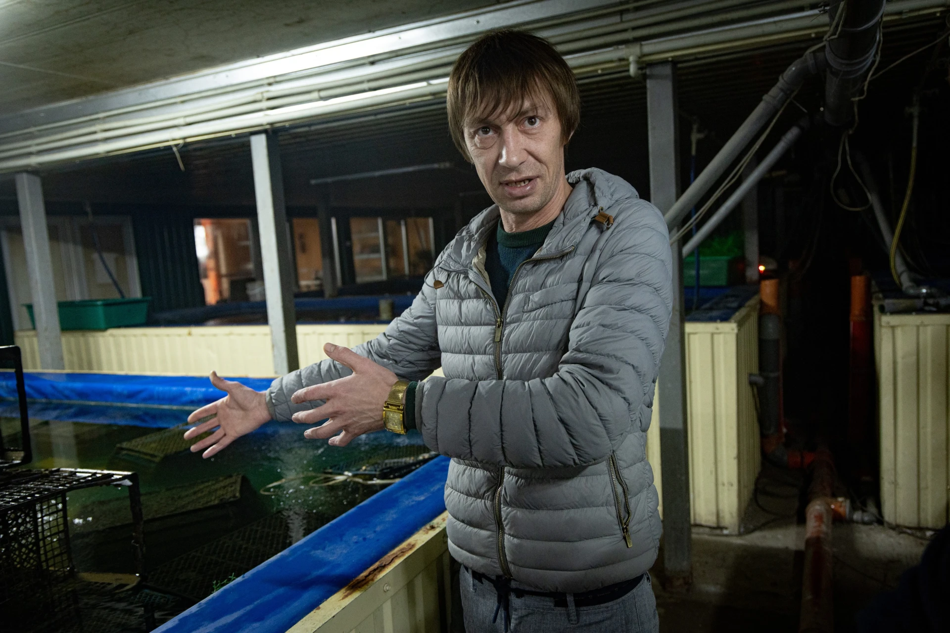 Попит більший за виробництво вдвічі: як українська креветка стала продуктом, за який змагаються ресторани та готові платити в Монако