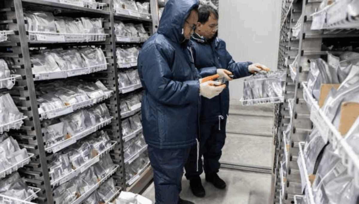 Революція в агропродовольчих системах: Як Світовий банк просуває штучний інтелект для підвищення врожайності аграріїв