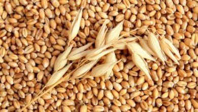 ЄС планує безстроково заморозити російські активи, щоб уникнути вето Угорщини та надати кредит Україні