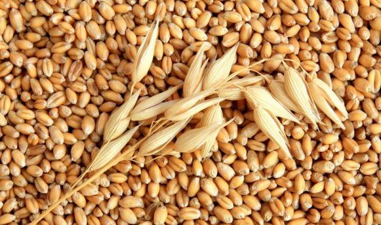 ЄС планує безстроково заморозити російські активи, щоб уникнути вето Угорщини та надати кредит Україні