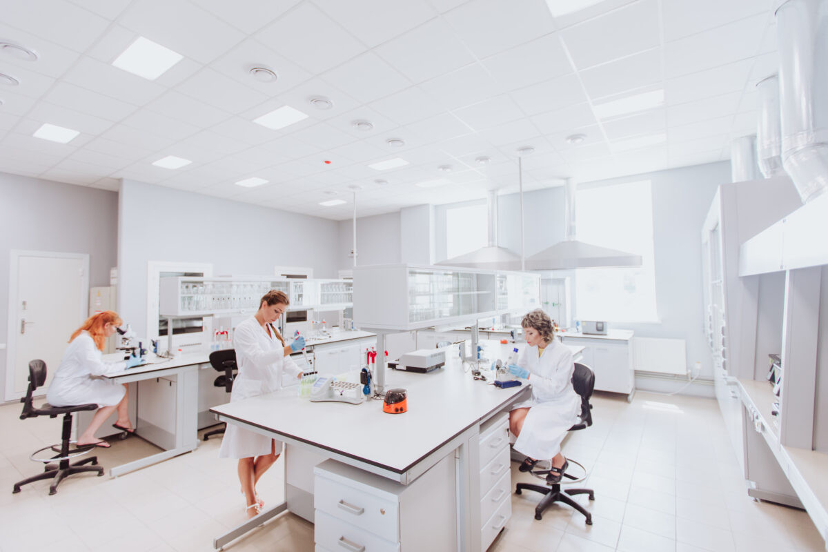 Короткий горизонт планування і довгий вектор розвитку: як працює компанія Beehive під час війни