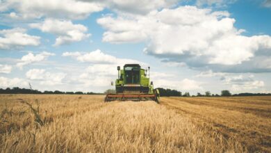 A green tractor harvesting wheat in a vast open field under a bright, cloudy sky.