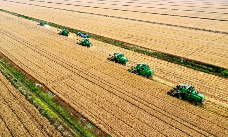 fields, tractors, machinery, harvest, wheat, agriculture, agricultural machinery, agricultural machinery, agricultural machinery, agricultural machinery, agricultural machinery, agricultural machinery