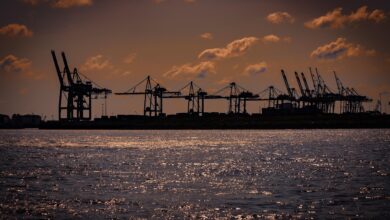 port, port cranes, sea, ocean, nature, freight transport, loading port, container port, loading cranes, hamburg