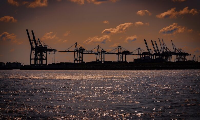 port, port cranes, sea, ocean, nature, freight transport, loading port, container port, loading cranes, hamburg