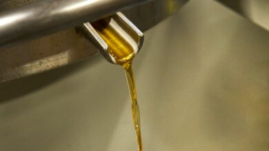 Golden oil pouring from a metal spout into a container