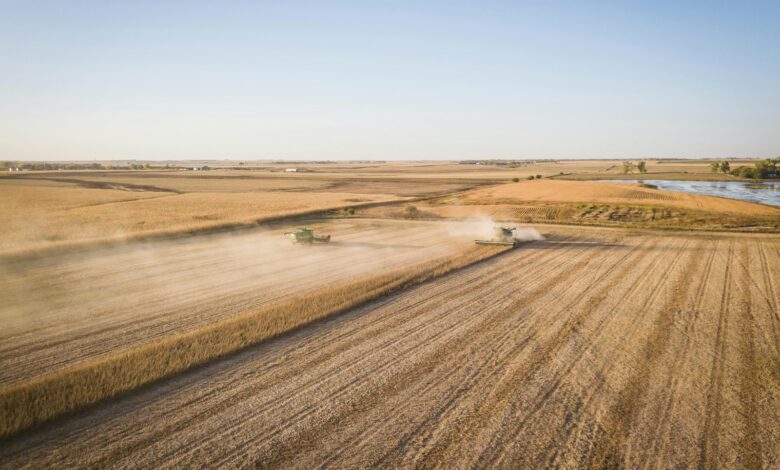 brown field under blue sky during daytime