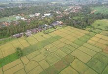 An aerial view of a village and farmland