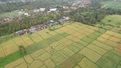 An aerial view of a village and farmland