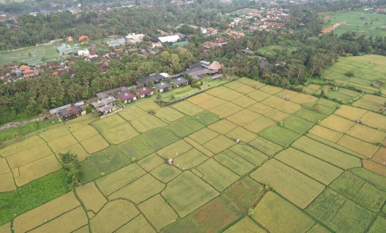 An aerial view of a village and farmland