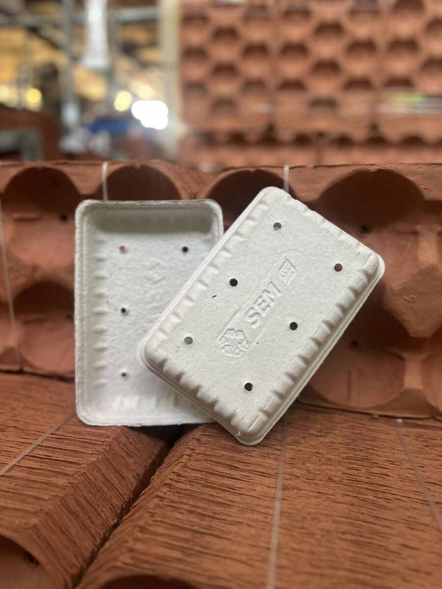 Формована целюлоза як інструмент агроекспорту: українська упаковка, що знижує втрати врожаю та відповідає стандартам ЄС