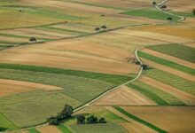 agriculture, field, arable land, nature, landscape, summer, agriculture, agriculture, agriculture, agriculture, agriculture, arable land, arable land