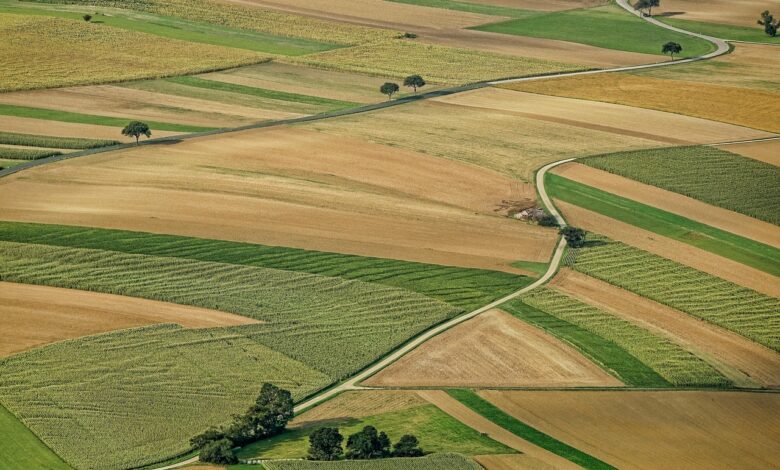 agriculture, field, arable land, nature, landscape, summer, agriculture, agriculture, agriculture, agriculture, agriculture, arable land, arable land