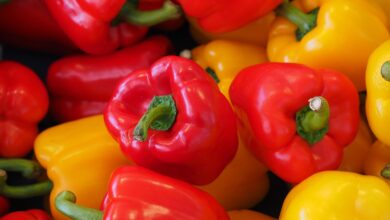 bell peppers, sweet peppers, capsicums, vegetables, fresh, fresh vegetables, harvest, organic, produce, red bell peppers, yellow bell peppers, food photography, bell peppers, bell peppers, bell peppers, bell peppers, bell peppers, vegetables, vegetables, vegetables