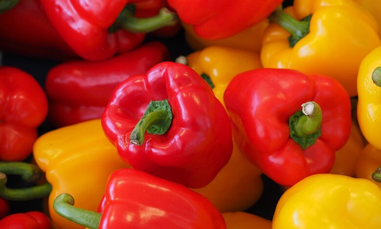 bell peppers, sweet peppers, capsicums, vegetables, fresh, fresh vegetables, harvest, organic, produce, red bell peppers, yellow bell peppers, food photography, bell peppers, bell peppers, bell peppers, bell peppers, bell peppers, vegetables, vegetables, vegetables