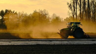 tug, tractor, agricultural machine, agriculture, arable, farm, plantation, arable land, tractor, tractor, tractor, tractor, tractor