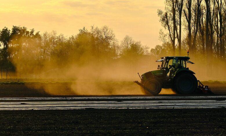 tug, tractor, agricultural machine, agriculture, arable, farm, plantation, arable land, tractor, tractor, tractor, tractor, tractor