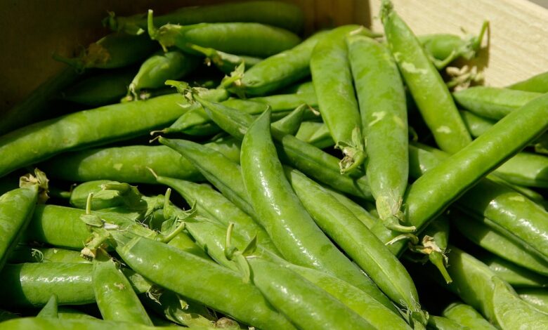 vegetables, peas, vitamins, market, peas, peas, peas, peas, peas