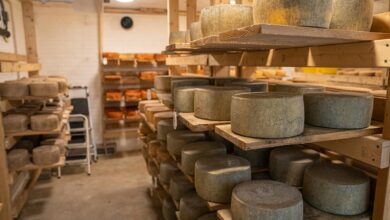 A collection of aged cheese wheels stored in a traditional cheese storage room.