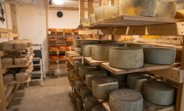 A collection of aged cheese wheels stored in a traditional cheese storage room.