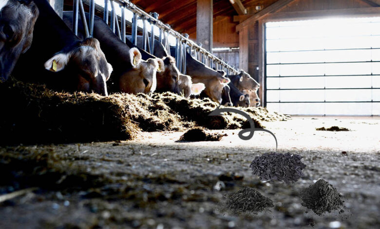 На Волині побудують комплекс із виробництва кормових добавок для тварин